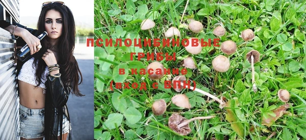 марки lsd Алексеевка