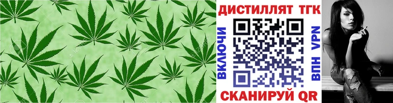 дарнет шоп  KRAKEN ССЫЛКА  Дистиллят ТГК вейп с тгк  Елизово 
