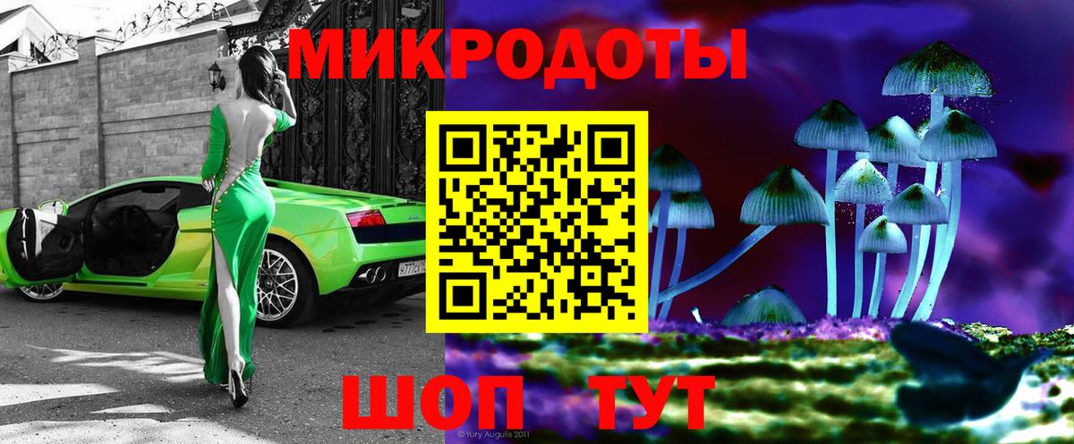Елизово  Галлюциногенные грибы Psilocybe  Вход с VPN  Псилоцибиновые грибы Psilocybe 