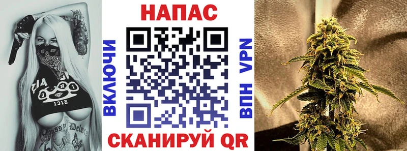 Канабис гибрид Елизово